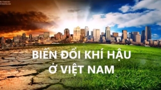 Biến đổi khí hậu Việt Nam